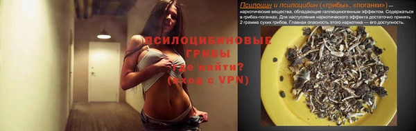 дживик Касимов