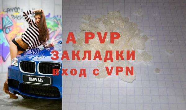 дживик Касимов