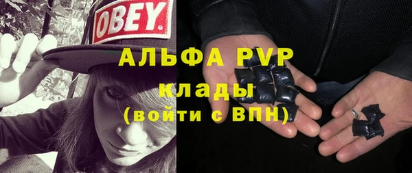 дживик Касимов